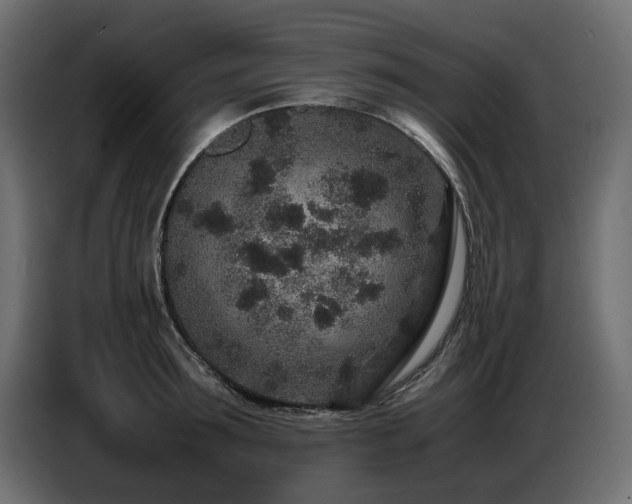 X0000087670899200705041008