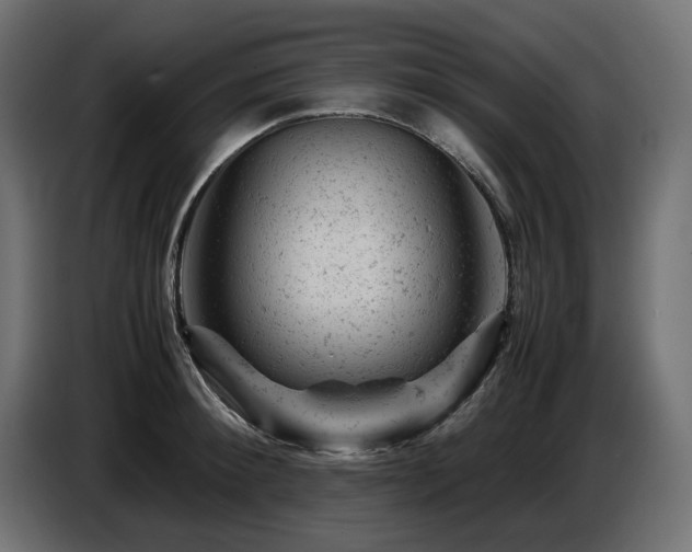 X0000087670900200705041008