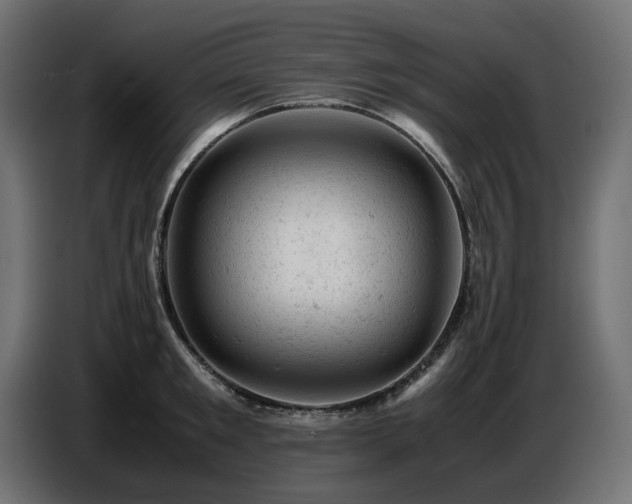 X0000087670901200705041008