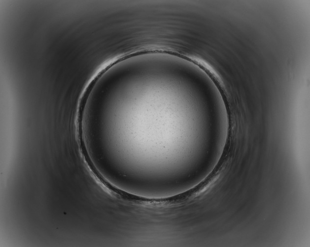 X0000087670902200705041008