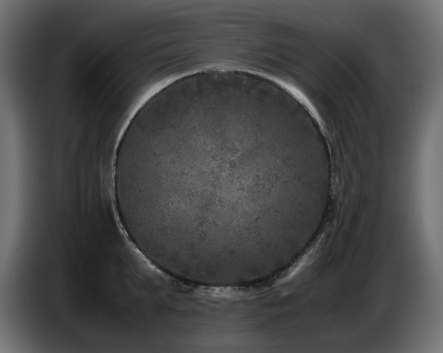 X0000087670903200705041008