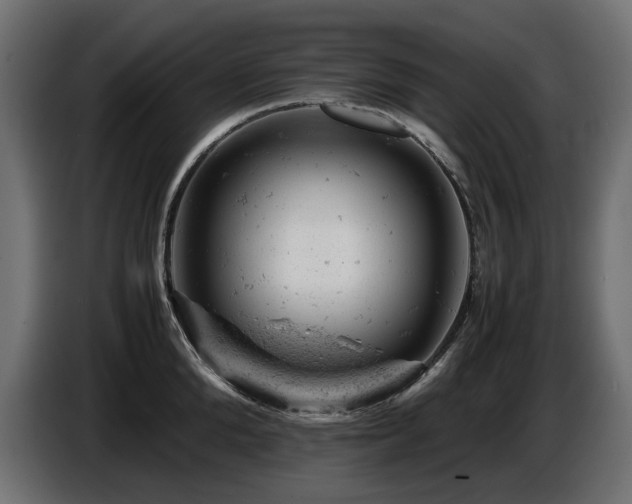 X0000087670904200705041008