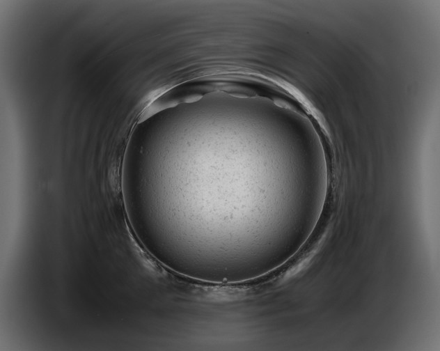 X0000087670905200705041008