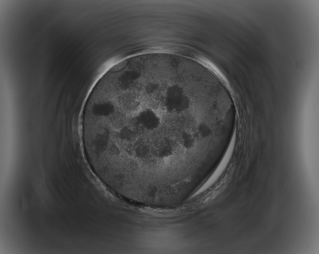 X0000087670907200705041008