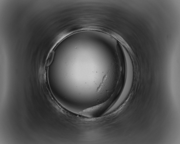 X0000087670908200705041008