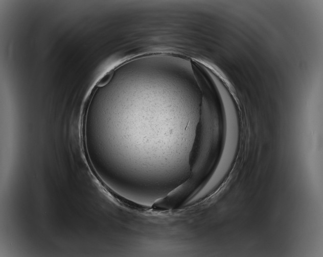 X0000087670910200705041008