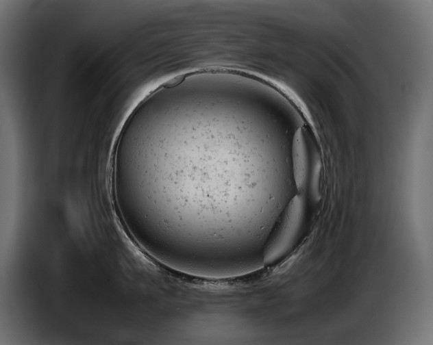 X0000087670911200705041008