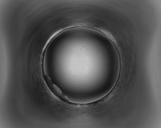 X0000087670912200705041008