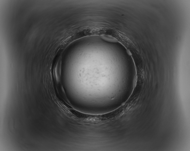 X0000087670914200705041007