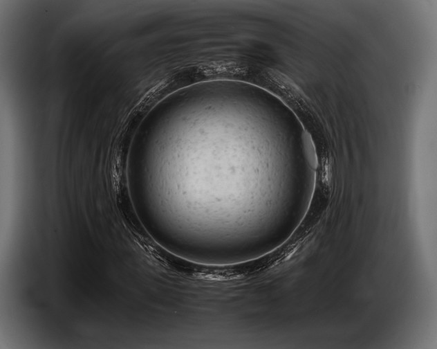 X0000087670915200705041007