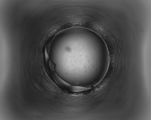 X0000087670916200705041007