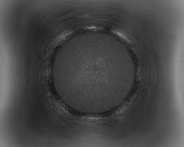 X0000087670917200705041007