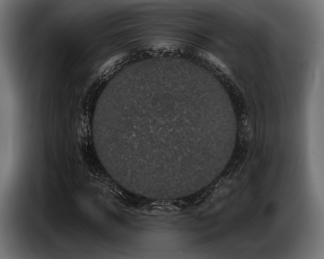 X0000087670918200705041007