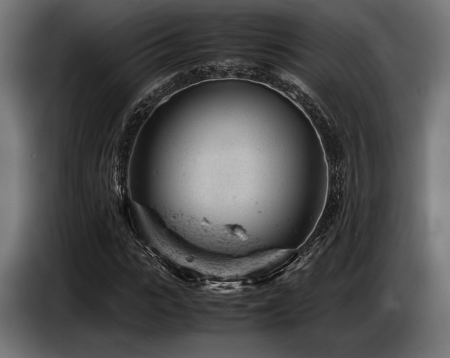 X0000087670919200705041007