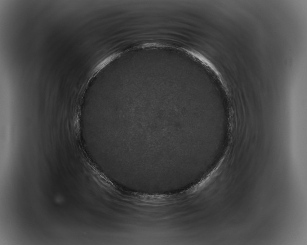 X0000087670921200705041007