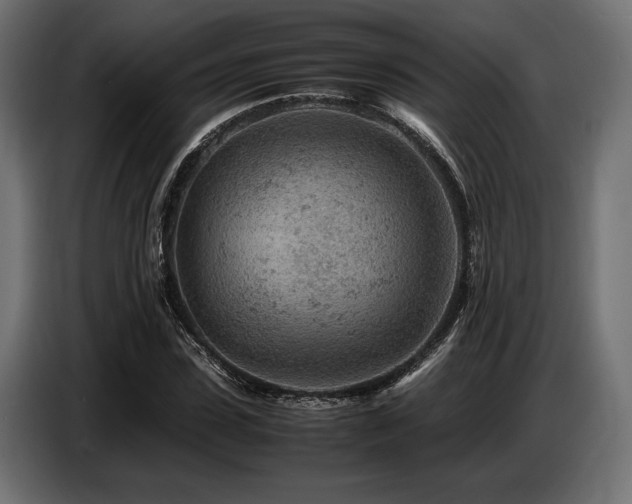 X0000087670923200705041007