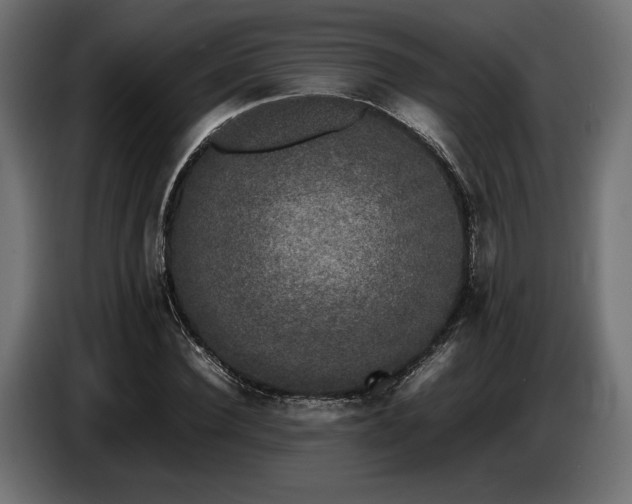 X0000087670924200705041007