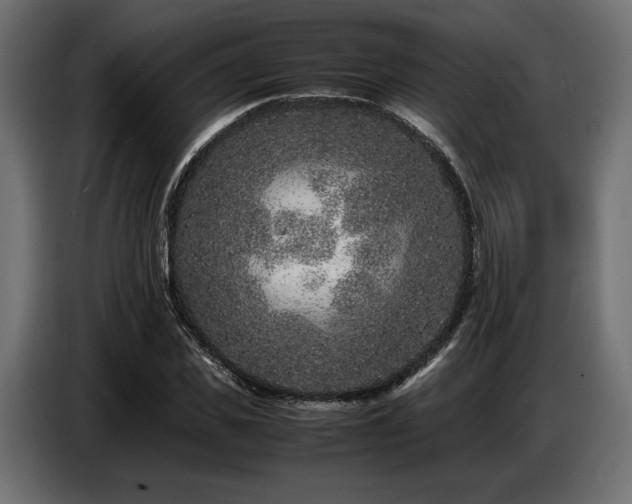 X0000087670925200705041008