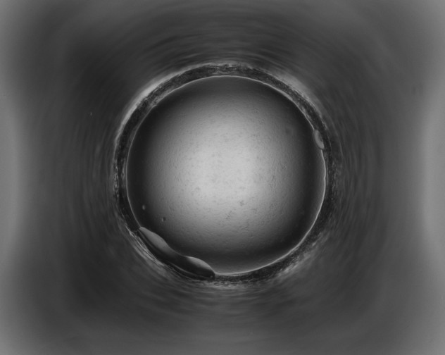 X0000087670927200705041008