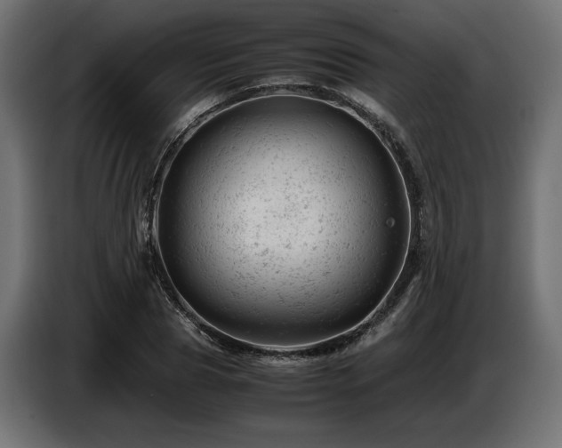 X0000087670929200705041008