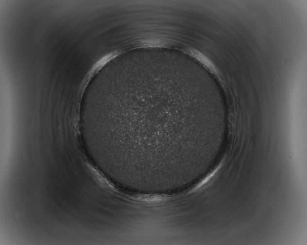 X0000087670930200705041008