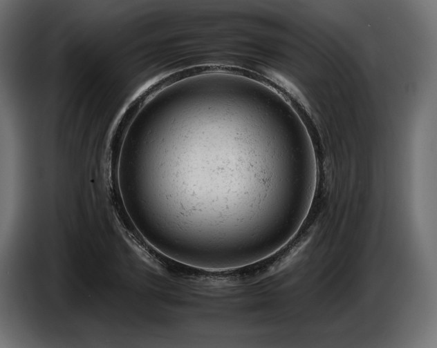 X0000087670931200705041008