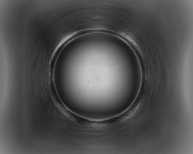 X0000087670933200705041008