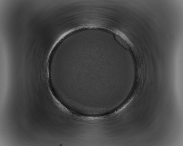 X0000087670934200705041008