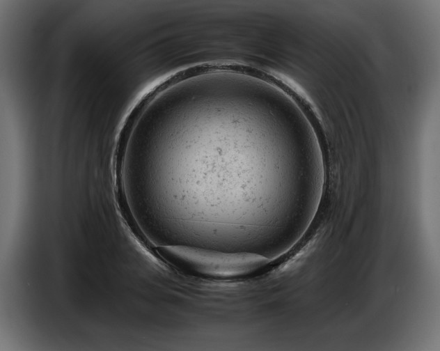 X0000087670935200705041008