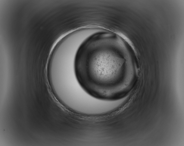 X0000087670936200705041008