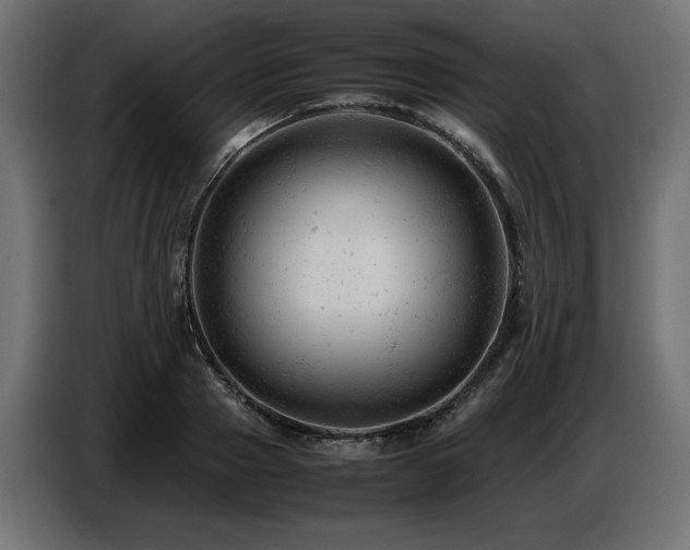 X0000087670937200705041008