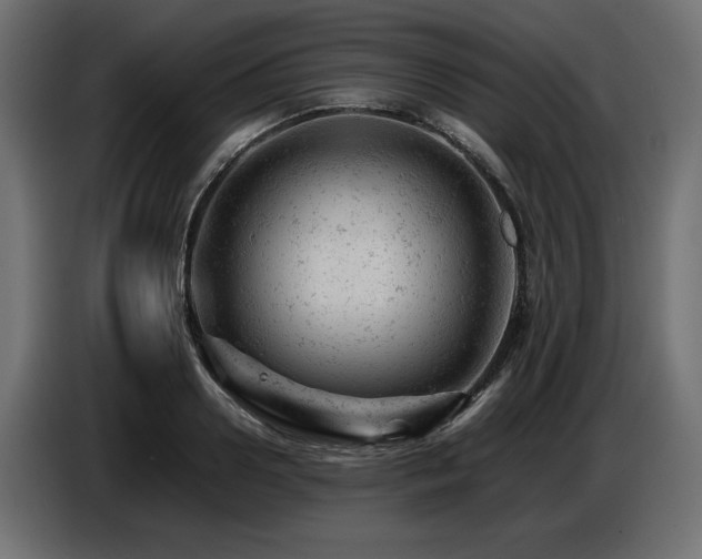 X0000087670938200705041008