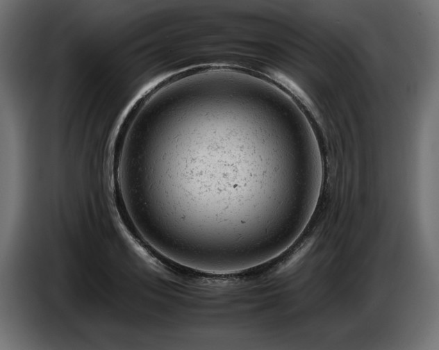 X0000087670939200705041008