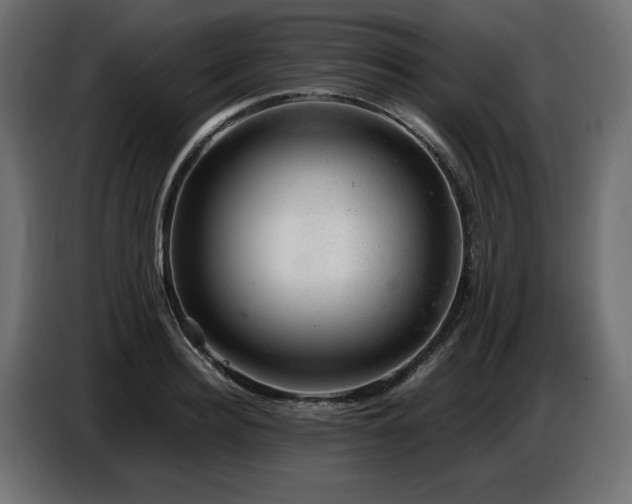 X0000087670940200705041008