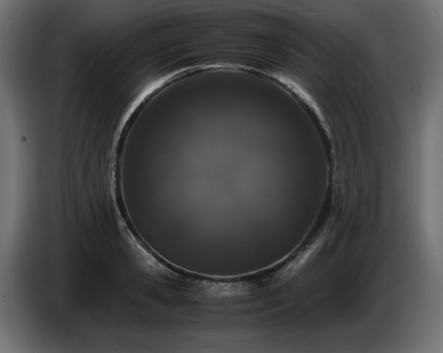 X0000087670941200705041008