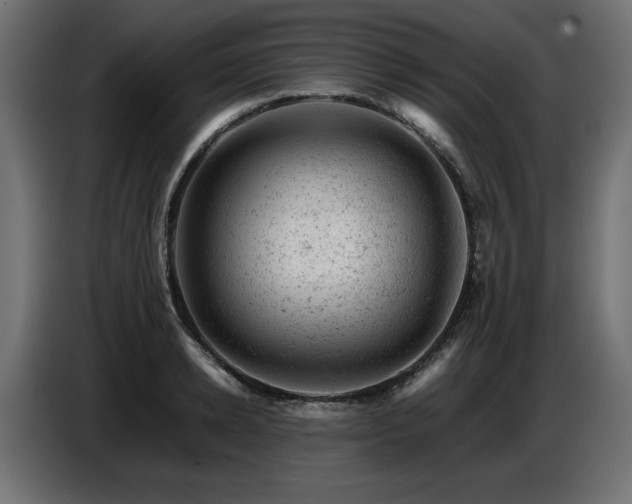 X0000087670942200705041008