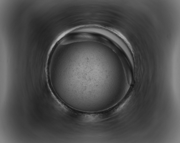 X0000087670943200705041008