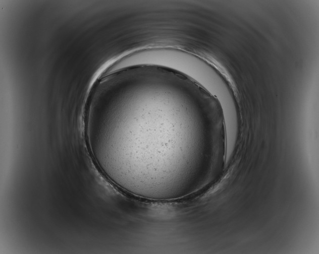 X0000087670944200705041008