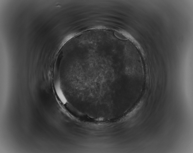 X0000087670945200705041008