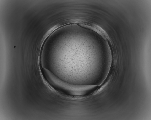 X0000087670946200705041008