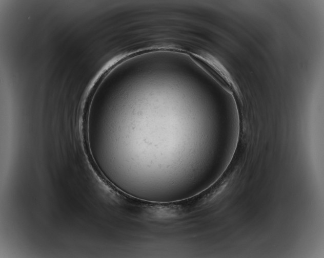 X0000087670947200705041008