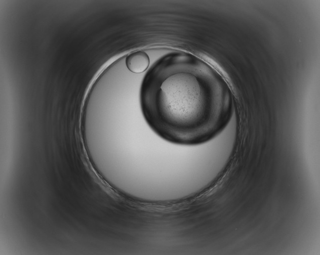 X0000087670948200705041008