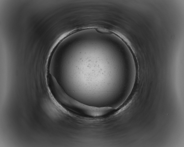 X0000087670949200705041008