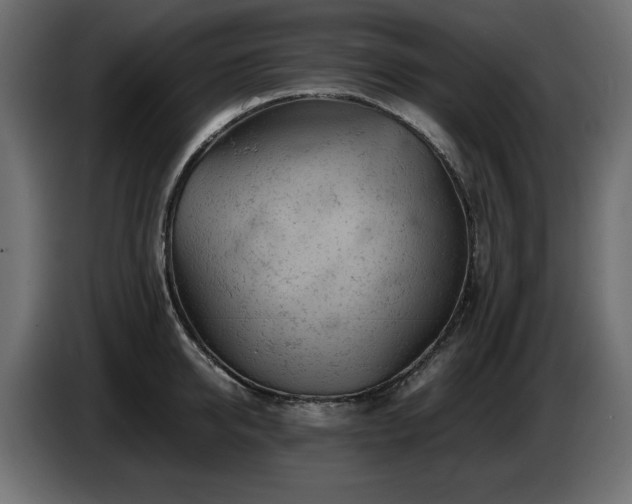 X0000087670950200705041008