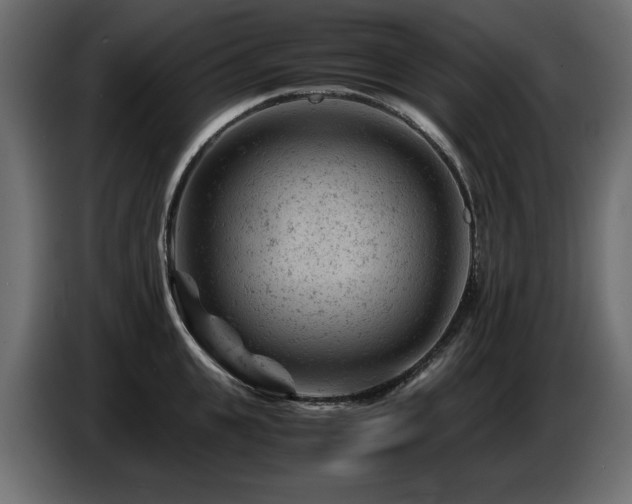 X0000087670951200705041008