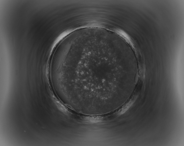 X0000087670952200705041008