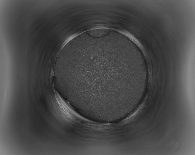 X0000087670953200705041008