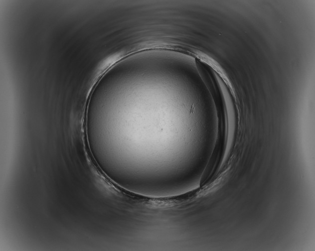 X0000087670954200705041008