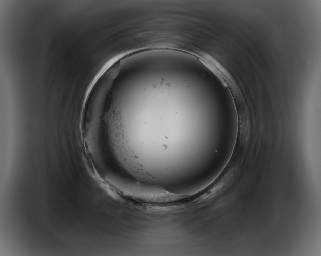 X0000087670956200705041008