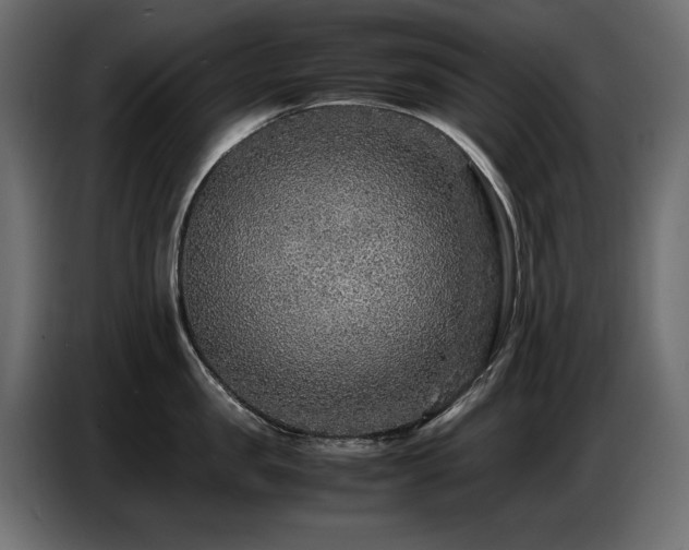 X0000087670957200705041008